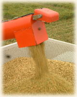刈り取った籾は乾燥機へ運搬です。